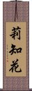 莉知花 Scroll