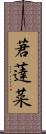 莙薘菜 Scroll