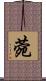 菀 Scroll