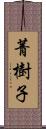 菁樹子 Scroll