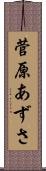 菅原あずさ Scroll
