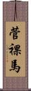 菅裸馬 Scroll