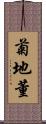 菊地董 Scroll
