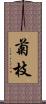 菊枝 Scroll