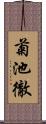 菊池徹 Scroll