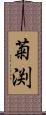 菊渕 Scroll