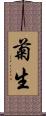 菊生 Scroll