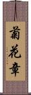 菊花章 Scroll