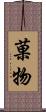 菓物 Scroll