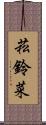 菘 Scroll