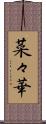 菜々華 Scroll