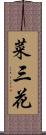菜三花 Scroll