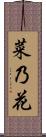 菜乃花 Scroll