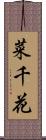 菜千花 Scroll
