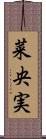 菜央実 Scroll