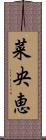 菜央恵 Scroll