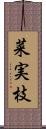 菜実枝 Scroll