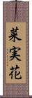 菜実花 Scroll