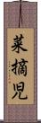 菜摘児 Scroll