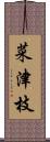 菜津枝 Scroll