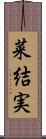 菜結実 Scroll