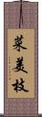 菜美枝 Scroll