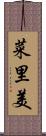 菜里美 Scroll