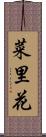 菜里花 Scroll