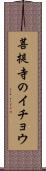 菩提寺のイチョウ Scroll