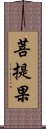 菩提果 Scroll