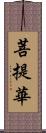 菩提華 Scroll