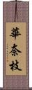 華奈枝 Scroll