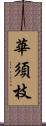 華須枝 Scroll