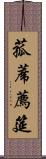 菰蓆 Scroll