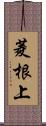 菱根上 Scroll