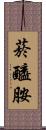 菸醯胺 Scroll