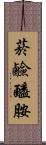 菸鹼醯胺 Scroll