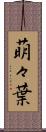 萌々葉 Scroll