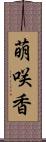 萌咲香 Scroll