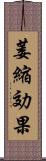 萎縮効果 Scroll