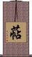 萜 Scroll