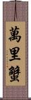 萬里蟹 Scroll