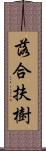 落合扶樹 Scroll