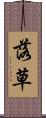 落草 Scroll