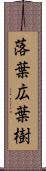 落葉広葉樹 Scroll