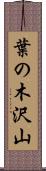 葉の木沢山 Scroll