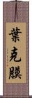 葉克膜 Scroll