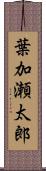 葉加瀬太郎 Scroll