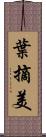 葉摘美 Scroll