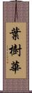 葉樹華 Scroll